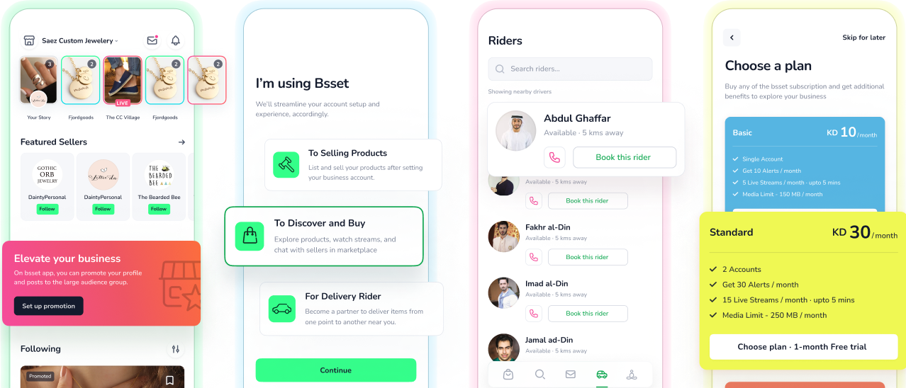 Bsset interface